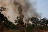 Record wildfires burn more than 1 million hectares of EU land this year