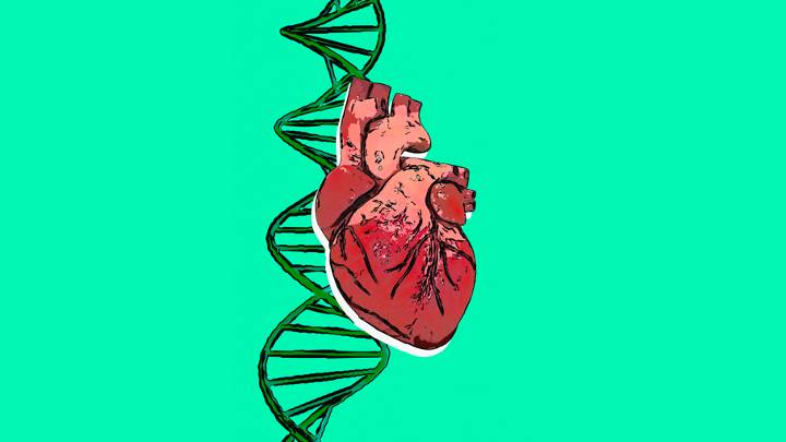 Transplanting Heart Valves Effective Option for Congenital Heart Disease