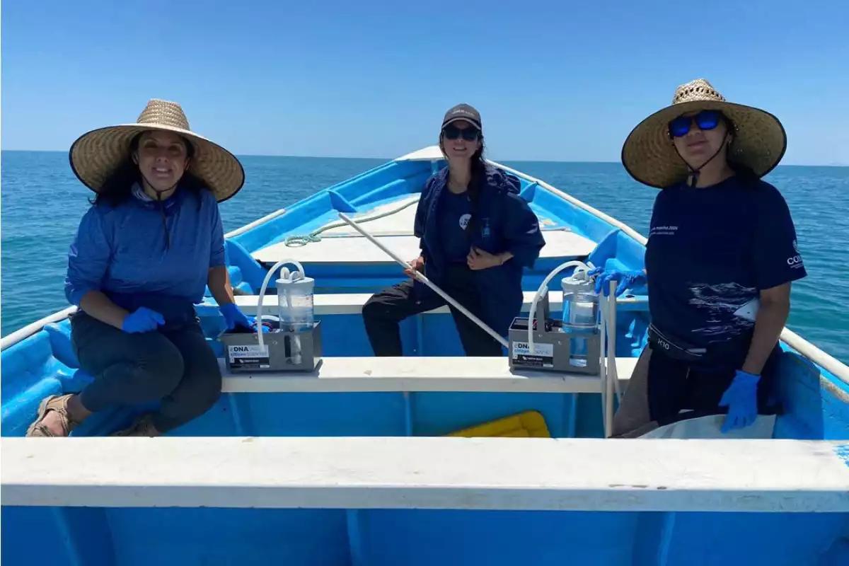 Daniel Madariaga visibiliza liderazgo de mujeres en el Mar de Cortés