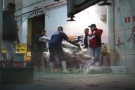 Brazil serves potentially contaminated shark meat to children in public schools