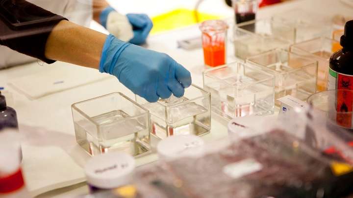 Colecta en Granada para niña con enfermedad rara que necesita 1,5 millones para un ensayo