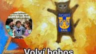 Los memes de la victoria de Tigres ante Santos; Acevedo y Correa protagonistas