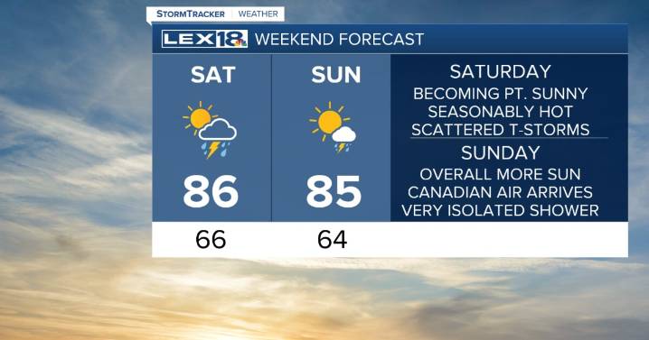A Summery Weekend