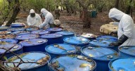 Desmantelan en Nayarit narcolaboratorio con casi 13 toneladas de metanfetamina