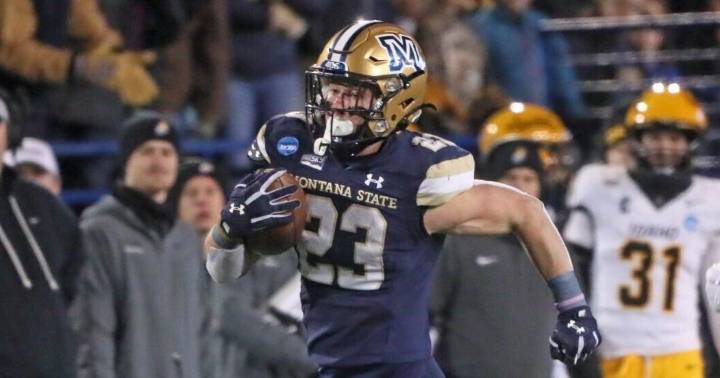 Big Sky Conference football picks: Can the Cats put a scare into the Ducks?