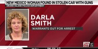 New Mexico woman arrested in Grand Island with stolen South Dakota car, 10 rifles