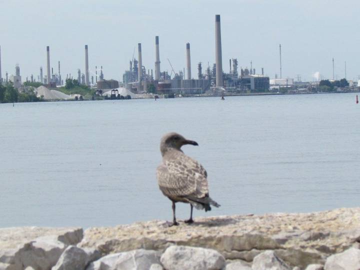 Sarnia-area unemployment rate climbed in May | The Woodstock Sentinel Review