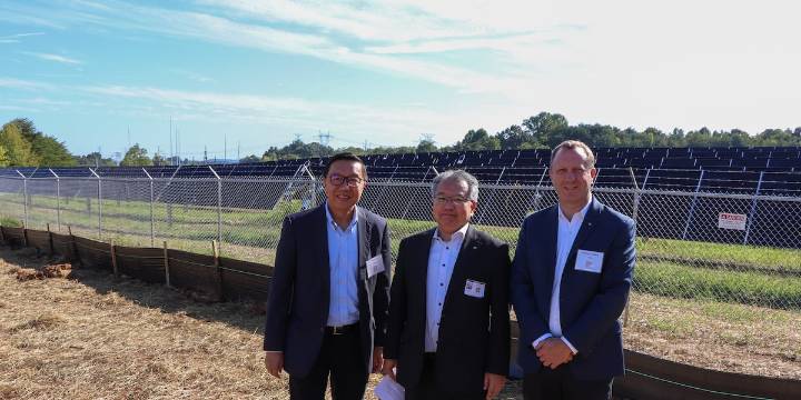 Denso opens first of three new solar farms in Maryville