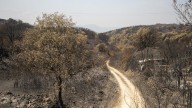 León contabiliza 16 incendios “que requieren atención” en una jornada “con más temperatura, menos humedad y vientos cambiantes”