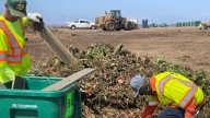 San Diego hires homeless to pick trash at the dump’s green-waste facility – NBC 7 San Diego