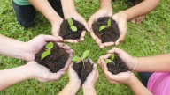 PM leads green push with 41m-tree plantation drive