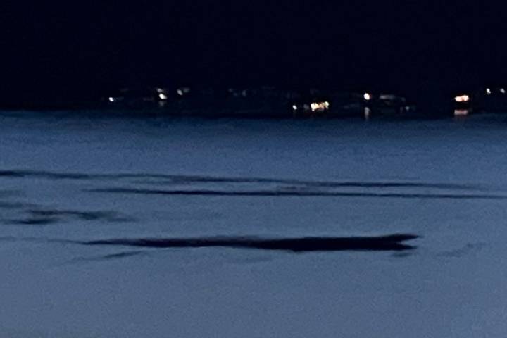 Possible Ogopogo sighting on Okanagan Lake, ahead of National Sea Serpent Day
