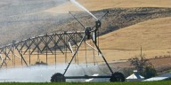 Kotek declares a drought emergency in two more Oregon counties