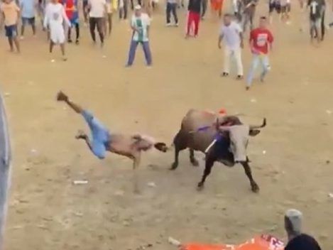 Video shows man getting gored to death after taunting bull