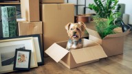 18 Storage Solutions You Can DIY From Cardboard Boxes For A More Organized Home