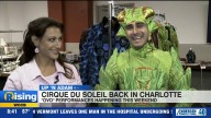Up 'n Adam: Cirque du Soleil OVO