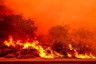 Larry Wilson: What we should do about the climate