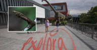¡Buena noticia! En una semana reabrirán el vivario del Parque Explora