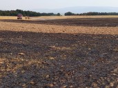 Controlado un nuevo incendio en la zona de Cañas