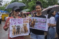 Court orders stray dogs in New Delhi released, easing its order to move them all to shelters