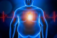 Shared, Sex-Specific Body Fat Patterns Linked to Cardiovascular Aging