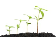Travere Therapeutics: Compelling FILSPARI Growth Is Hard To Ignore (NASDAQ:TVTX)