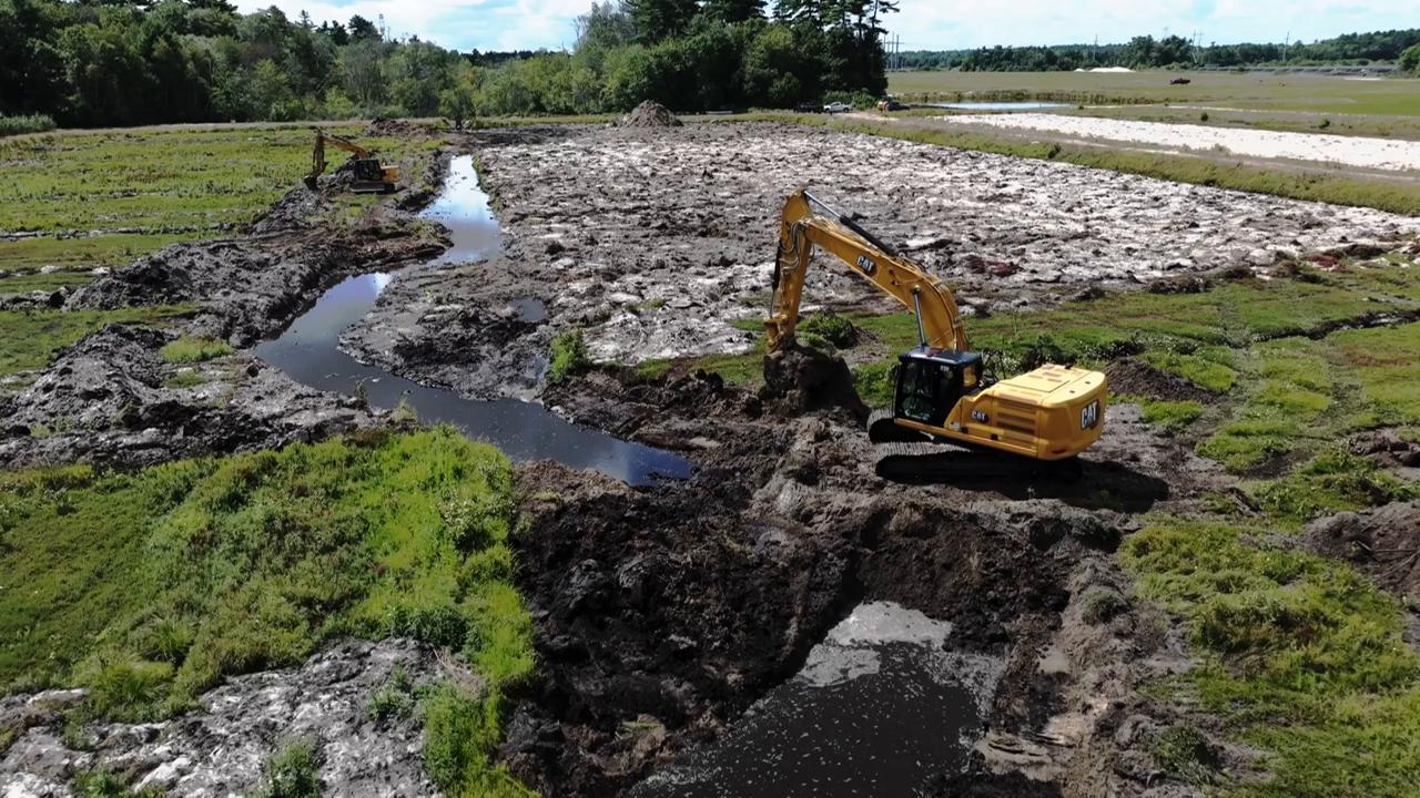 Massachusetts cranberry bogs get a second life as vibrant wetlands that benefit environment