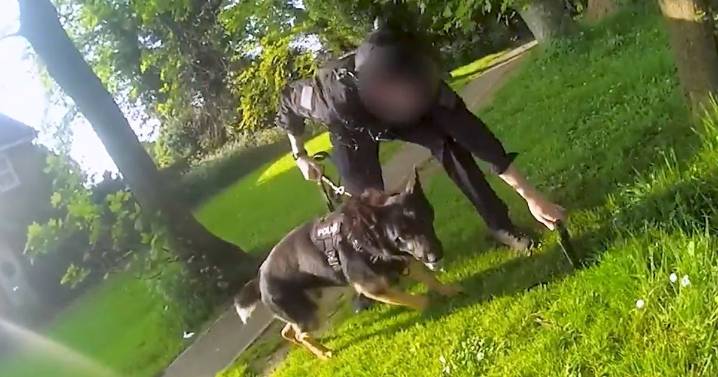 Man jailed after stabbing neighbour and 'hunting down police' with crossbow