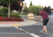 29 Pictures Taken Just Seconds Before Everything Went Wrong