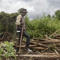 Evicted from their forests, Kenyan hunter-gatherers fight for their rights