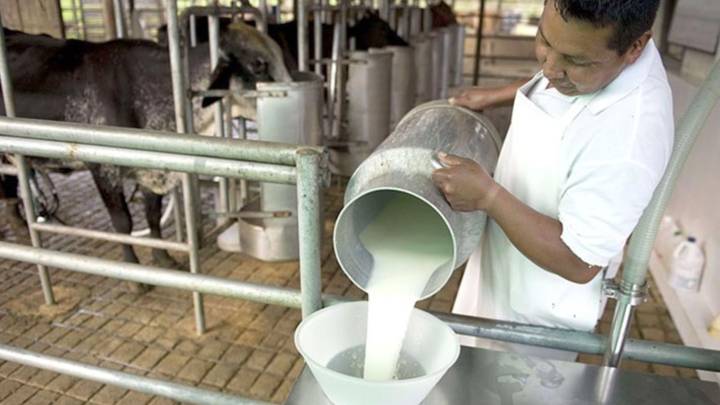 Fegalago: La distorsión de precios ahoga a los productores de leche en el país #15Ago