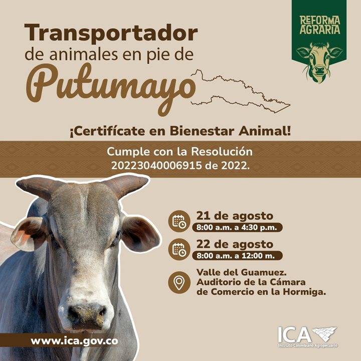 Putumayo: curso de Bienestar Animal para transportadores de animales en pie