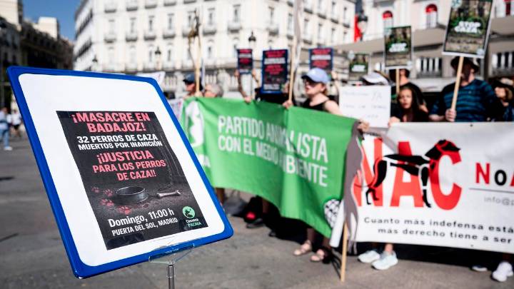 Querella de Pacma contra un ayuntamiento cacereño por no gestionar las colonias felinas
