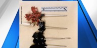 Man get 5+ years for slingshot dart attack at Gresham MAX station