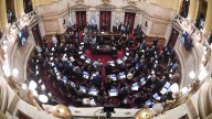 Victoria opositora en el Senado: el trasfondo de la sesión que derogó cinco decretos clave para el Gobierno