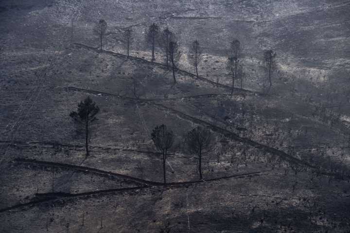 Un paisaje desolador: los incendios forestales arrasan varias regiones de España