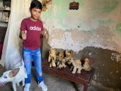 «Epa Josué, te invito a mi casa»: El conmovedor gesto de Luis David que une a dos talentos del barro y la plastilina