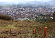 IU insta a aprobar un plan de prevención de incendios forestales en Oviedo