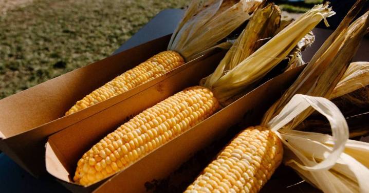 Shuck yeah! Corn Fest gets a bonus round | Georgia Straight Vancouver’s source for arts, culture, and events
