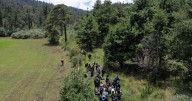 El Ajusco, reserva natural y punto de desapariciones en CDMX