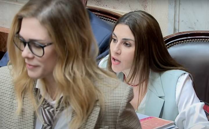 Diputados: Lilia Lemoine se paró durante la exposición de Marcela Pagano para taparla
