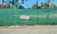 Revocan permiso a Legacy en Playa del Carmen por muerte de venados