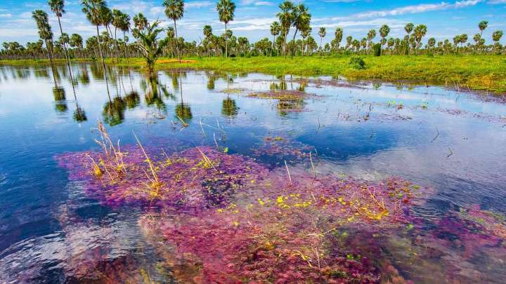 El paraíso poco conocido de Formosa que es furor entre el turismo ecológico
