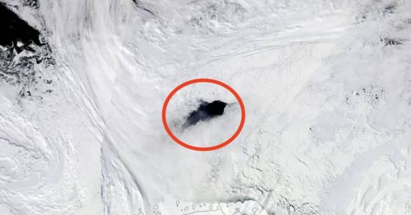 Alerta mundial: la NASA descubrió un "agujero negro" en la Antártida que se traga el hielo del Polo Sur