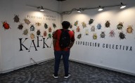 Obra de Kafka es vista a través de escarabajos