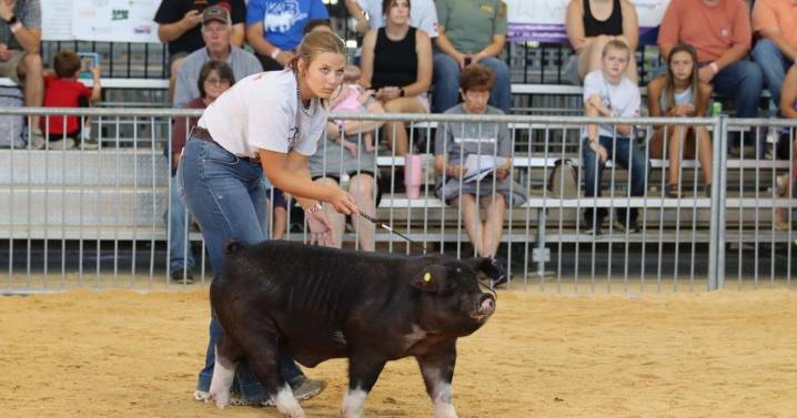 Area Youth Exhibitors Donated to Hogs for Hunger