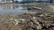 Diggers pull ‘disgusting’ island of wet wipes from Thames