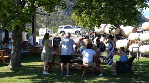 Consumers wary of B.C.'s American-edition wines, the remnants of a poor harvest