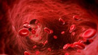 El nuevo enemigo del humano que ya está circulando por nuestra sangre: en un producto que usas cada día