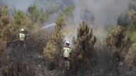 Agentes medioambientales critican que la Junta "es incapaz" de mejorar el operativo contra incendios